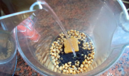 黑芝麻豆浆是熟芝麻吗,揭秘熟芝麻的养生魅力