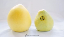 麻豆文旦,台湾特色水果的甜蜜诱惑