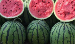 穿越到娱乐圈获得吃瓜系统,穿越者解锁明星幕后秘闻